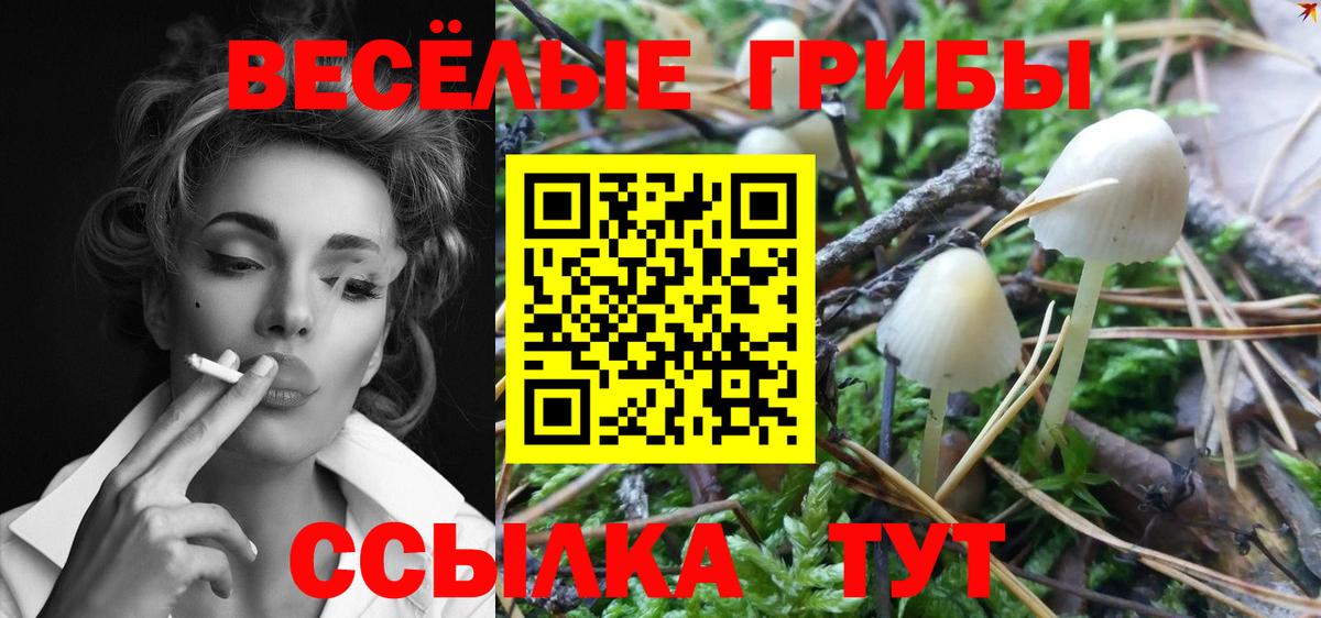 Галлюциногенные грибы Psilocybe  Вход с VPN  Галлюциногенные грибы мухоморы  Вязники 